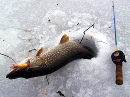 Зимнее блеснение на щуку