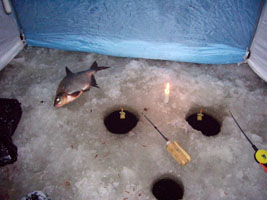 Зимняя ловля